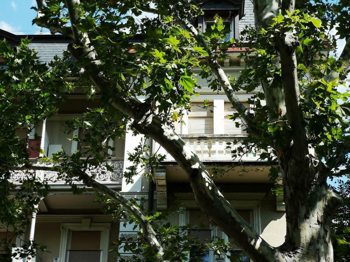 Spazioso E Accogliente Nel Centro Di เมราโน ภายนอก รูปภาพ